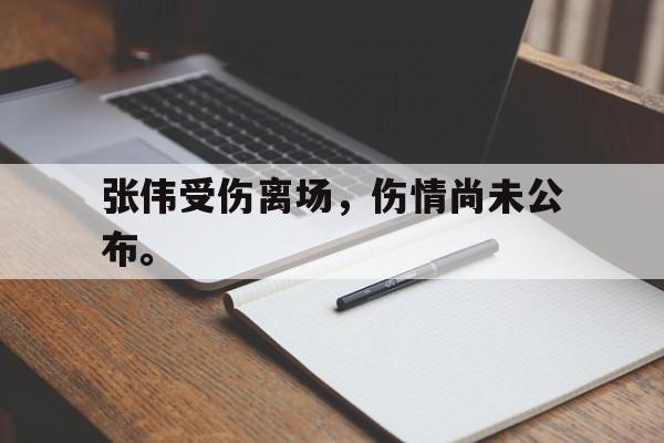 爱游戏平台-张伟受伤离场，伤情尚未公布。
