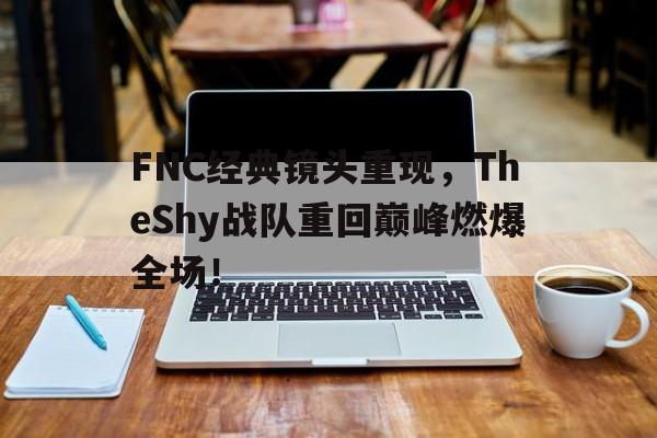 爱游戏平台官网入口官网-FNC经典镜头重现，TheShy战队重回巅峰燃爆全场！