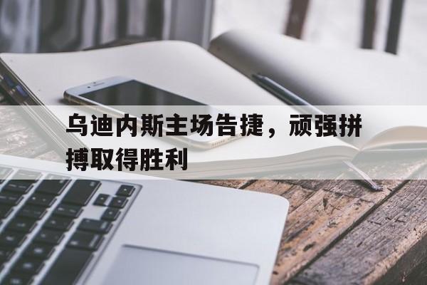 爱游戏平台官网入口官网-乌迪内斯主场告捷，顽强拼搏取得胜利