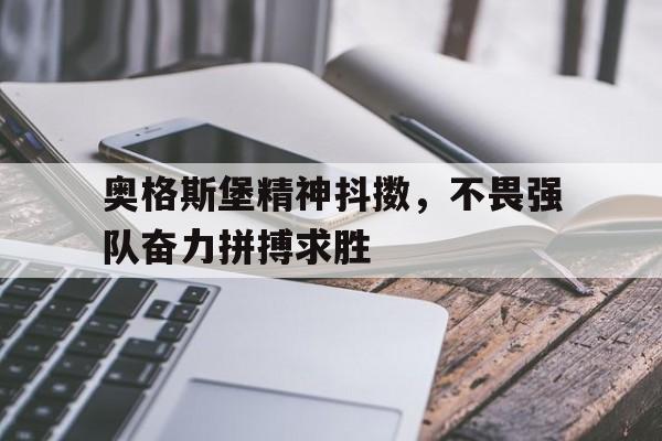 爱游戏平台-奥格斯堡精神抖擞，不畏强队奋力拼搏求胜